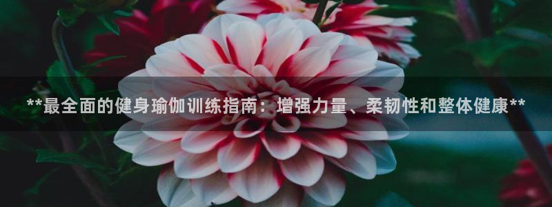 意昂2官网