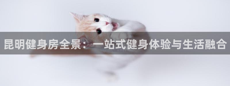 意昂2娱乐